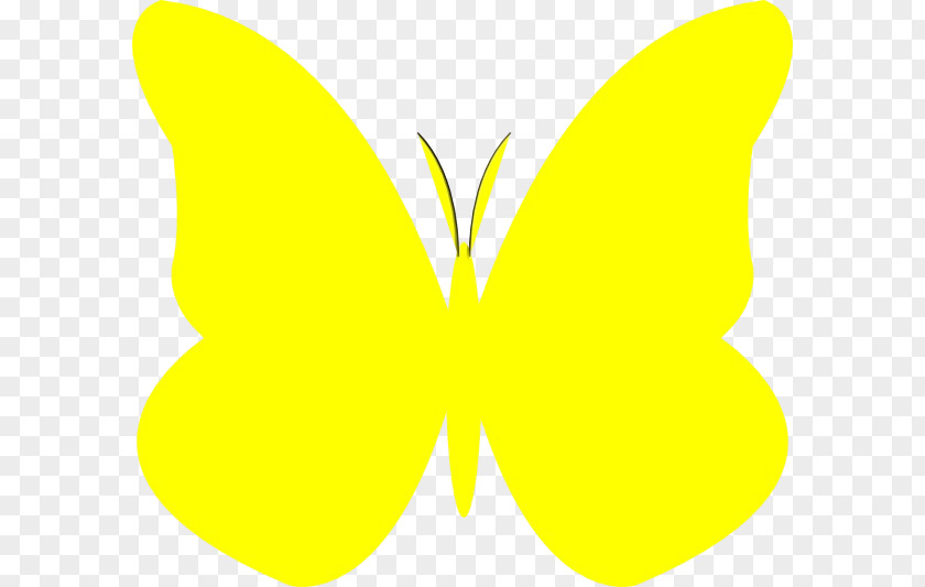 Plant Logo Butterfly PNG