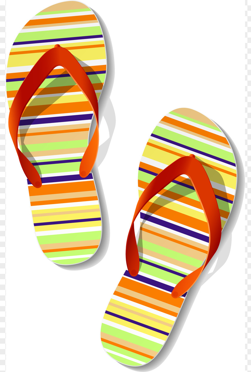 Sandals Summer Flip-flops PNG