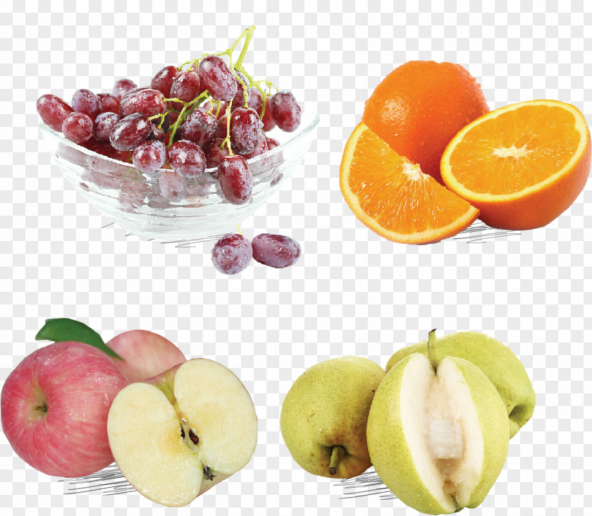 Apple Orange Pear Vector Elements Pyrus Xd7 Bretschneideri Seedless Fruit PNG
