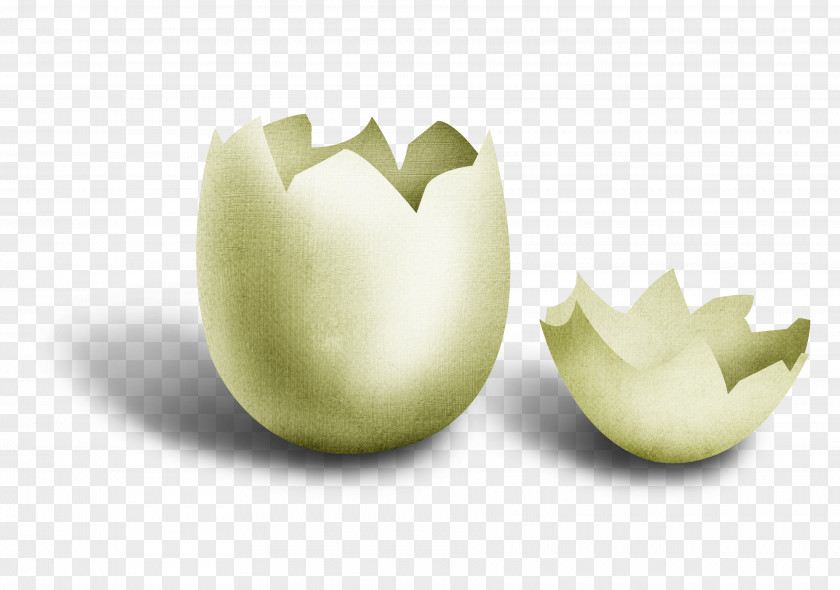 Broken Egg Shell Green Chicken Eggshell PNG