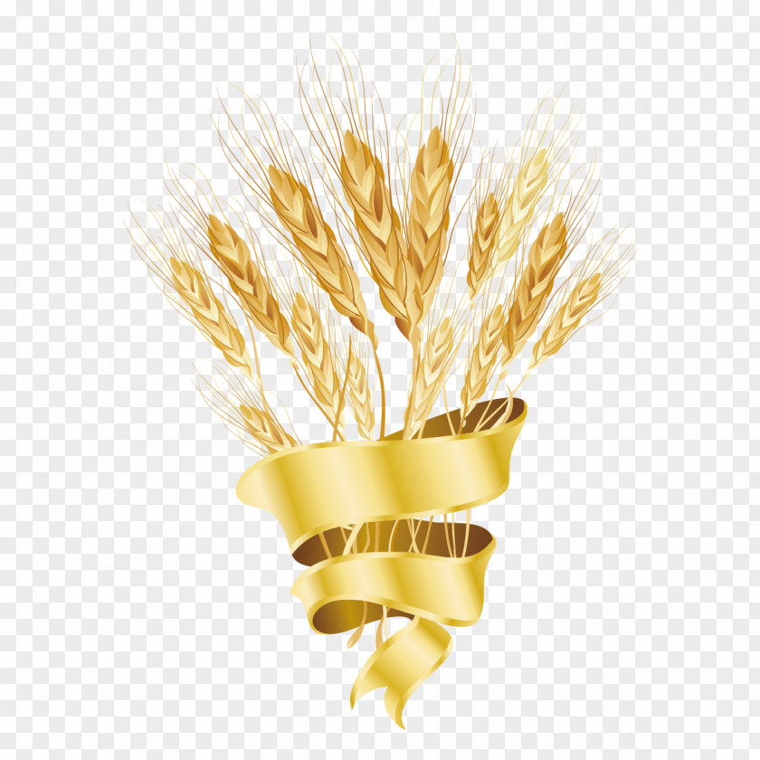 Creative Rice Common Wheat Cereal PNG