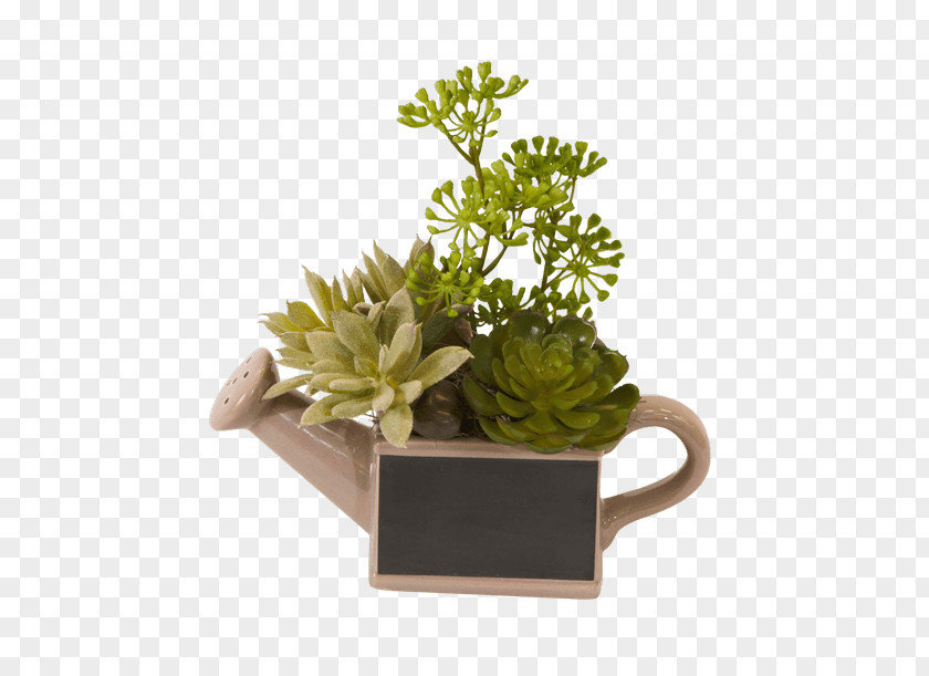 Flower Flowerpot Herb Houseplant PNG