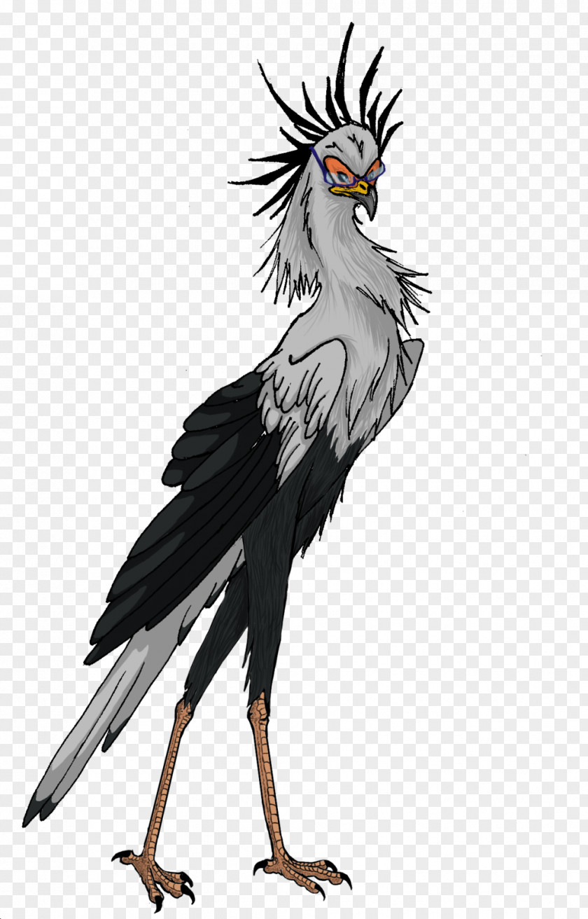Secretary Bird Of Prey Chicken Beak Vulture PNG