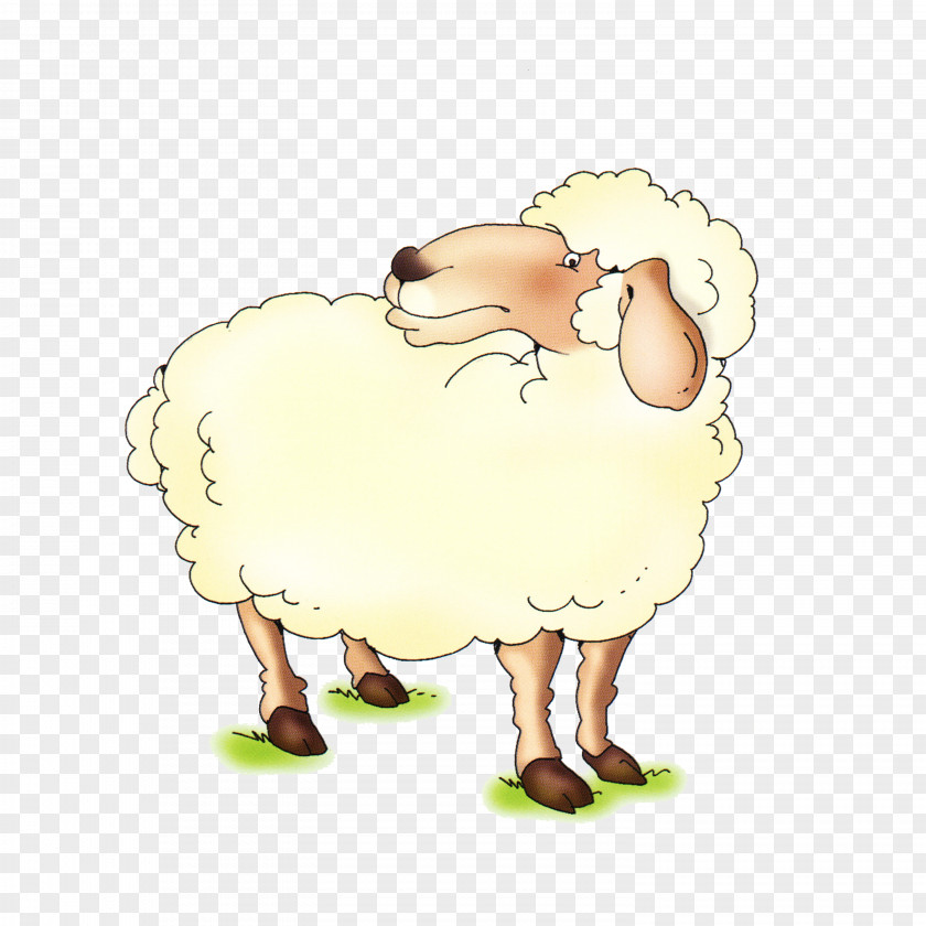 Sheep Latxa Goat Cattle Drawing Eid Al-Adha PNG