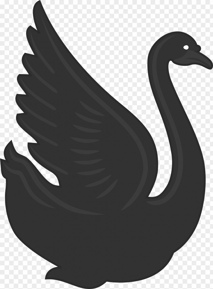 Swan Cygnini Duck Goose Clip Art PNG