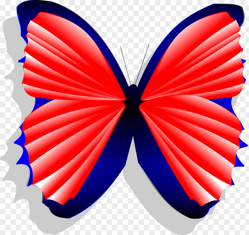 Tricolor Butterfly Blue Red Limenitis Arthemis Clip Art PNG