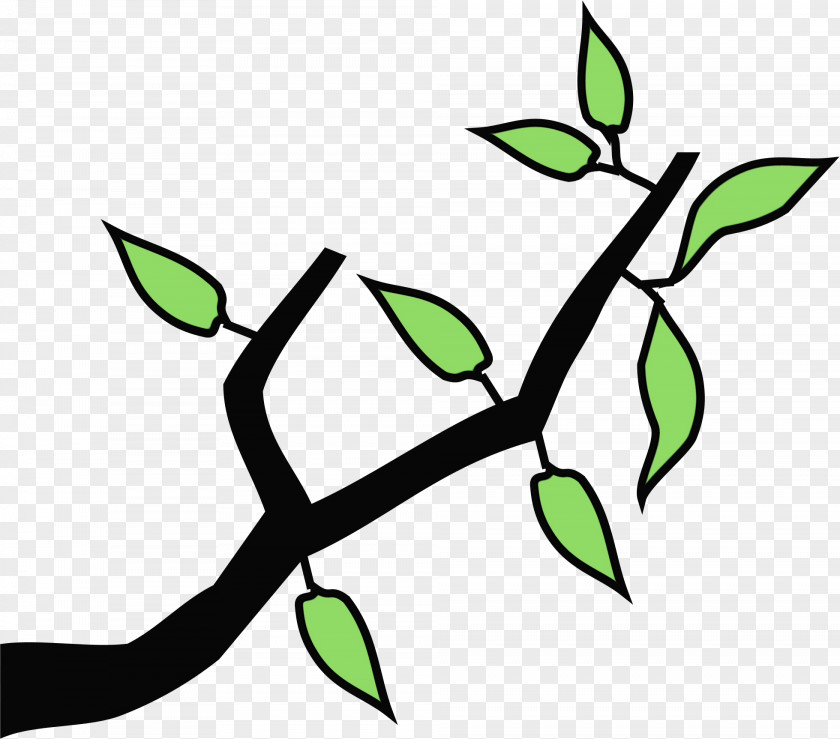 Branch Plant Stem Line Art Leaf Green PNG