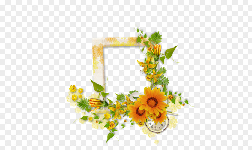 Floral Design Picture Frames Clip Art PNG
