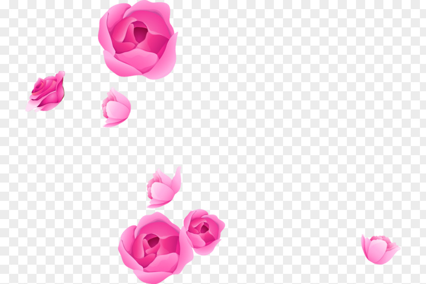Flower Border Rose Clip Art Image Adobe Photoshop PNG