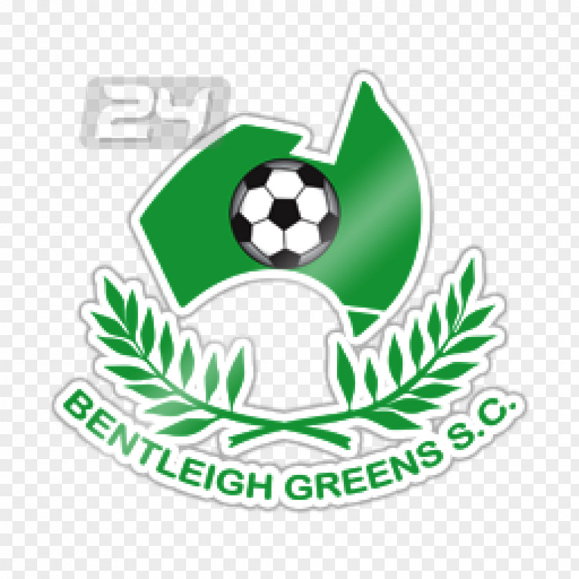 Football Bentleigh Greens SC National Premier Leagues Victoria Dandenong Thunder FC Bulleen Lions Green Gully PNG