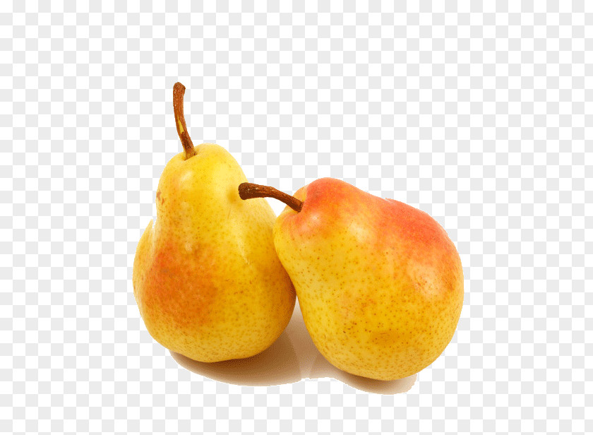 Pear Fruit Conference PNG