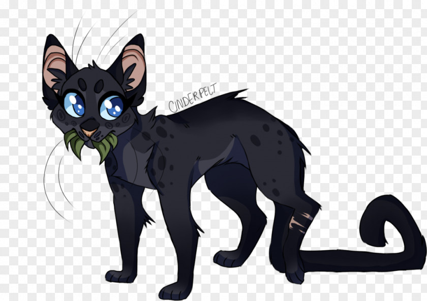Cat Black Whiskers ThunderClan Medicine PNG