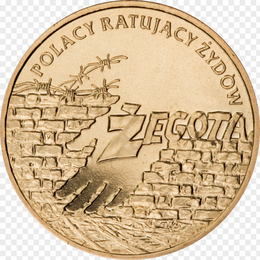 Coin Medal Cash Money PNG