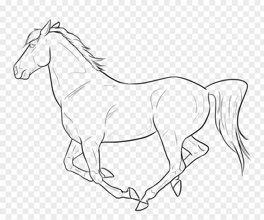 Galloping Horse Canter And Gallop Line Art Drawing Mustang PNG