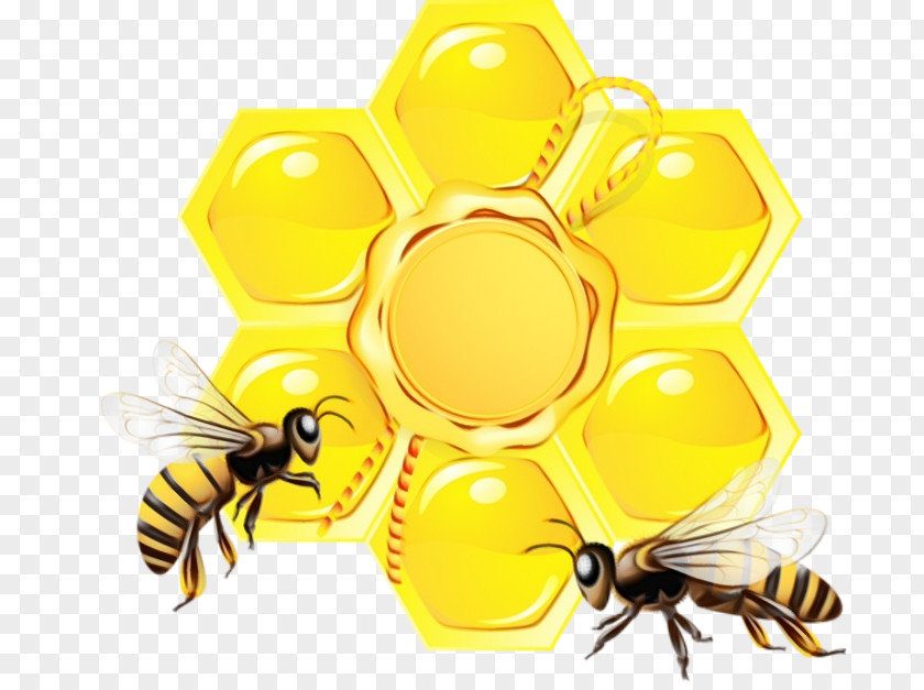 Hornet Yellow Bee Honeybee Insect Pollinator Pest PNG