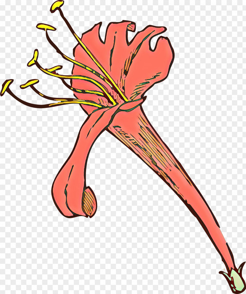 Plant Flower Pedicel Stem PNG