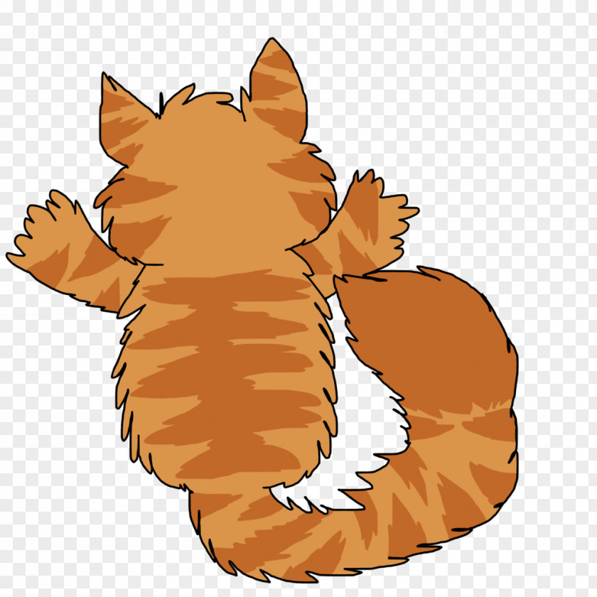 Tabby Whiskers Tiger Cat Red Fox Dog PNG