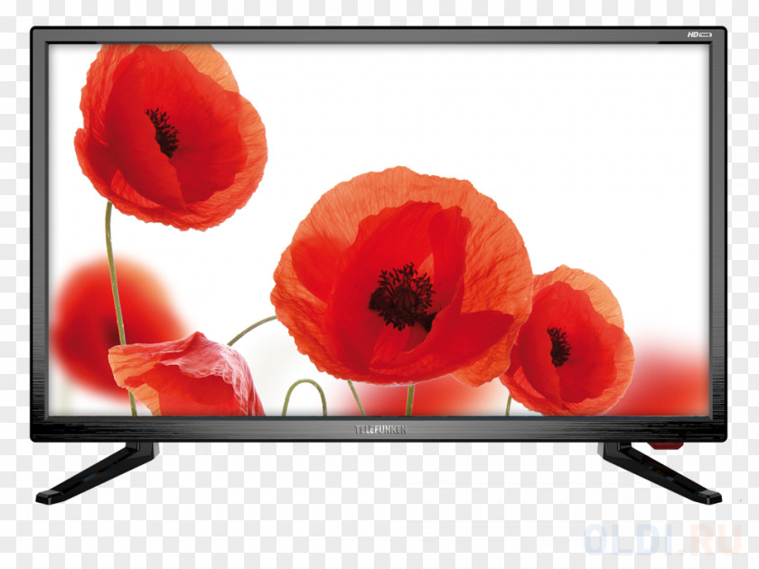 Telefunken LED-backlit LCD HD Ready Display Resolution 16:9 PNG