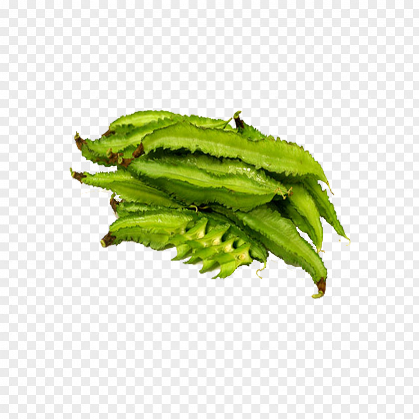Black Beans Winged Bean Leaf Vegetable Edamame PNG