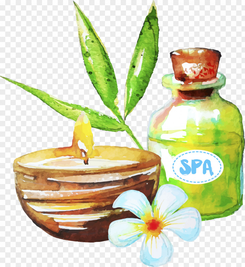 Drawing Spa Essential Oil PNG