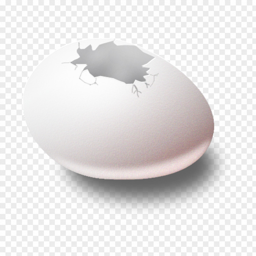 Eggshell Pictures PNG