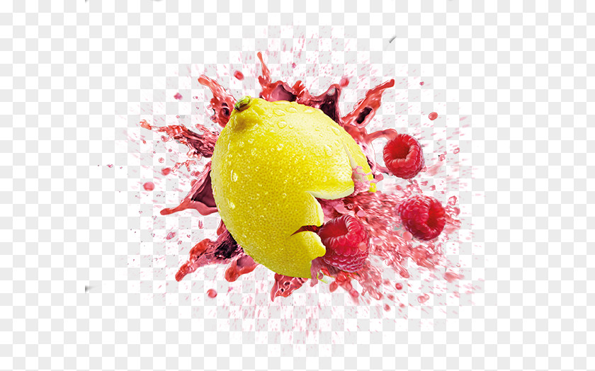 Fruit Juices Juice Lemonade Smoothie Slush PNG