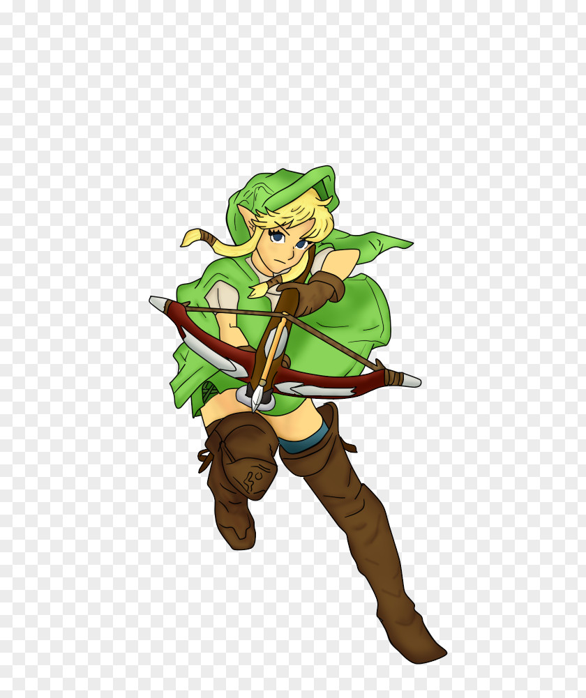 Hyrule Warriors Link The Legend Of Zelda: Wind Waker Wii U PNG