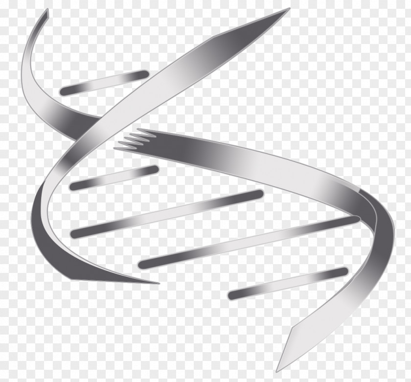 Nucleic Acid Double Helix DNA Information PNG