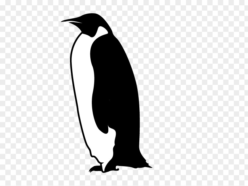 Ping Penguin Bird Clip Art PNG
