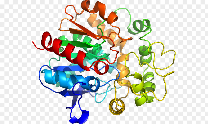 SPINT1 Chemical Reaction Protein Enzyme Chemistry PNG