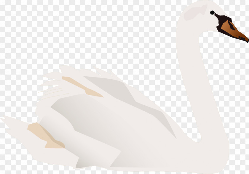 Vector Painted Swan Duck Neck Illustration PNG