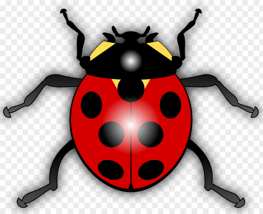 Cartoon Ladybug Clip Art Ladybird Insect PNG