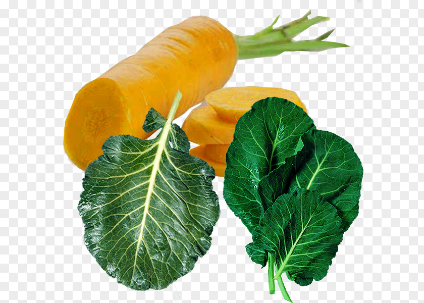 Chinese Cabbage In Kind Smoothie Cauliflower Broccoli Collard Greens PNG