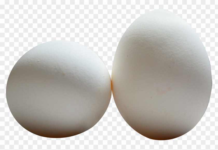 Egg PNG