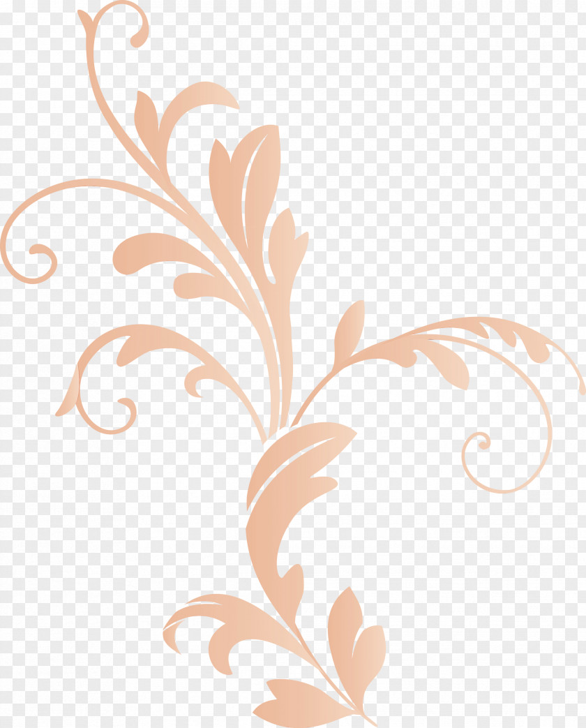 Floral Design PNG