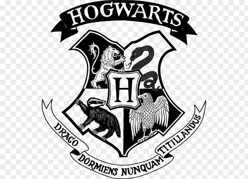 Harry Potter Hogwarts Gryffindor Hermione Granger Sorting Hat PNG