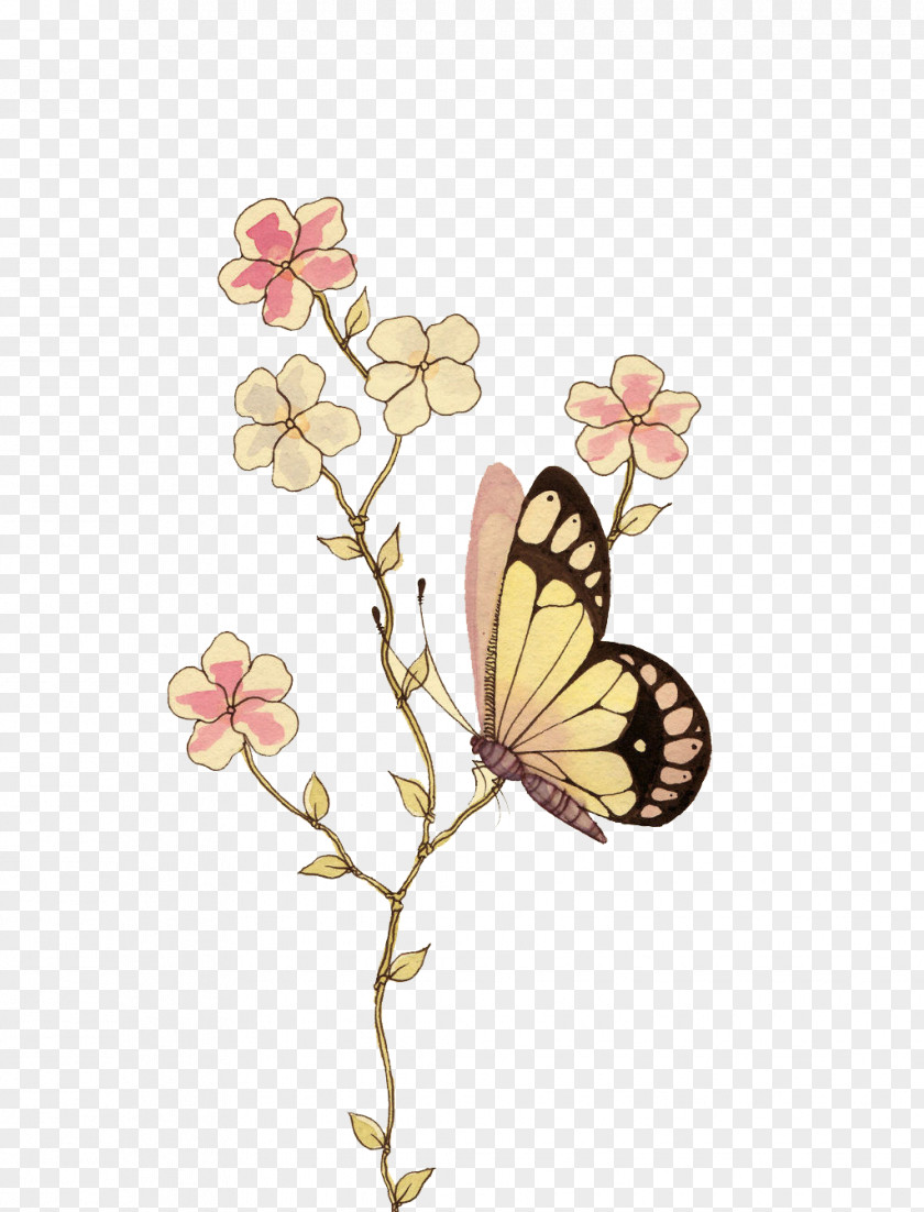 Butterfly Watercolor Painting Drawing Stencil Illustration PNG