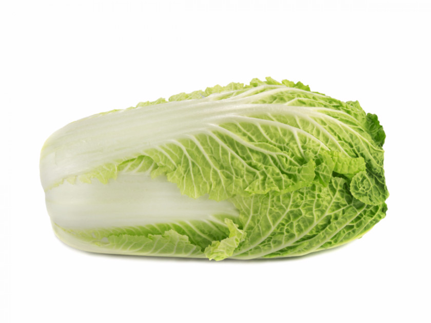 Cabbage Leaf Vegetable Napa Food PNG