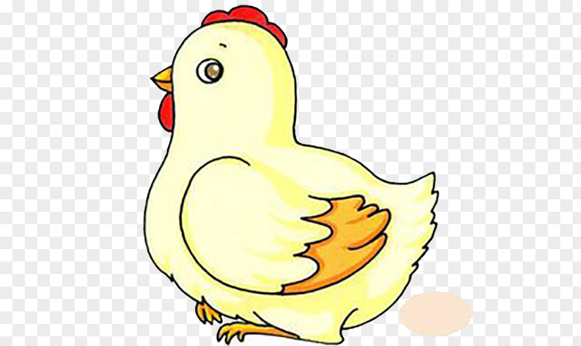 Cute Cartoon Hen Chicken Vector Graphics Egg Image Rooster PNG