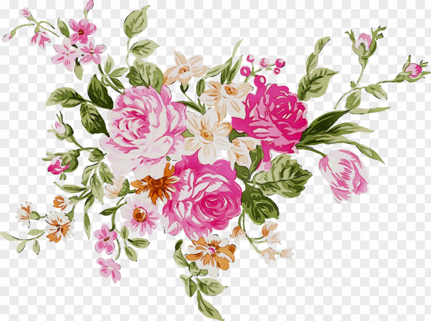Garden Roses Multiflora Rose Floral Design Pink Cabbage PNG