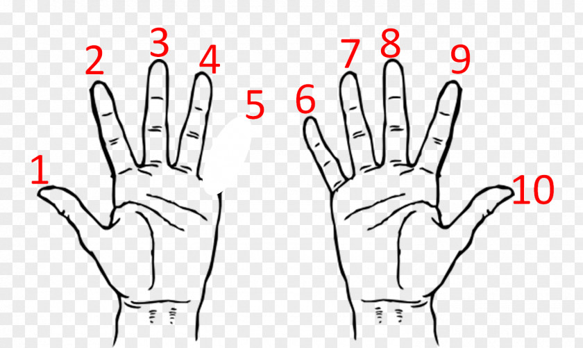 Hand Thumb Mudras Of Indian Dance: 52 Gestures For Artistic Expression PNG