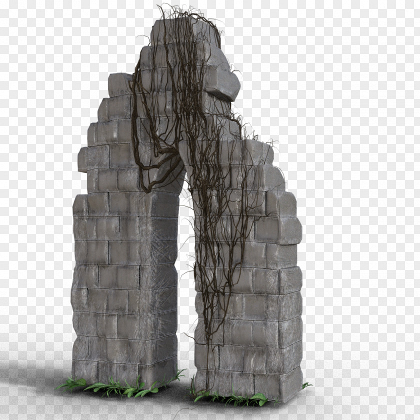 Ivy Ruins Wall PNG