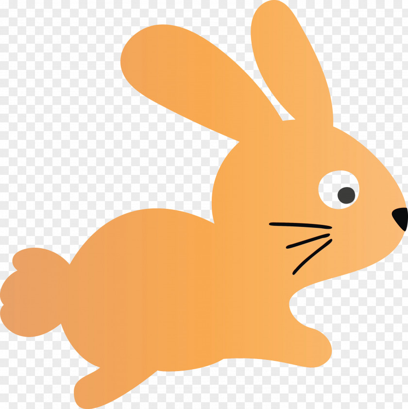 Orange PNG