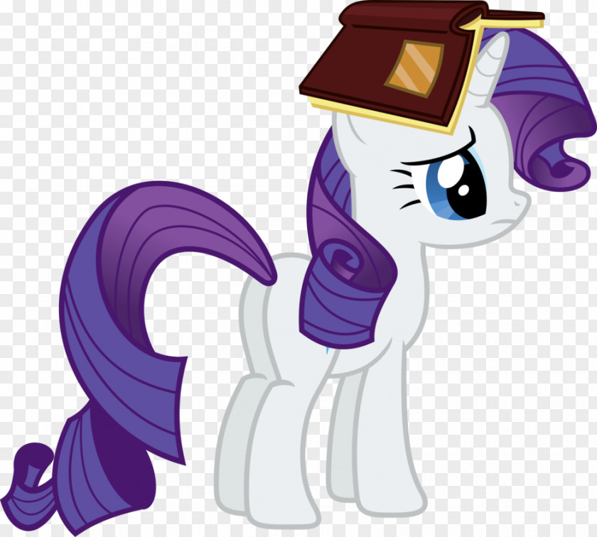 Rarity Pony Pinkie Pie Rainbow Dash Derpy Hooves PNG