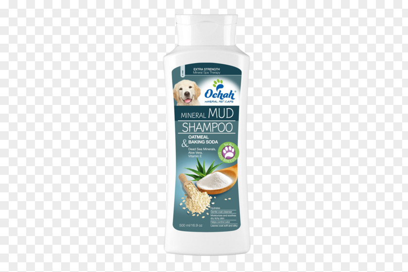 Shampoo Lotion Argan Oil Coconut Water Moroccan Cuisine PNG