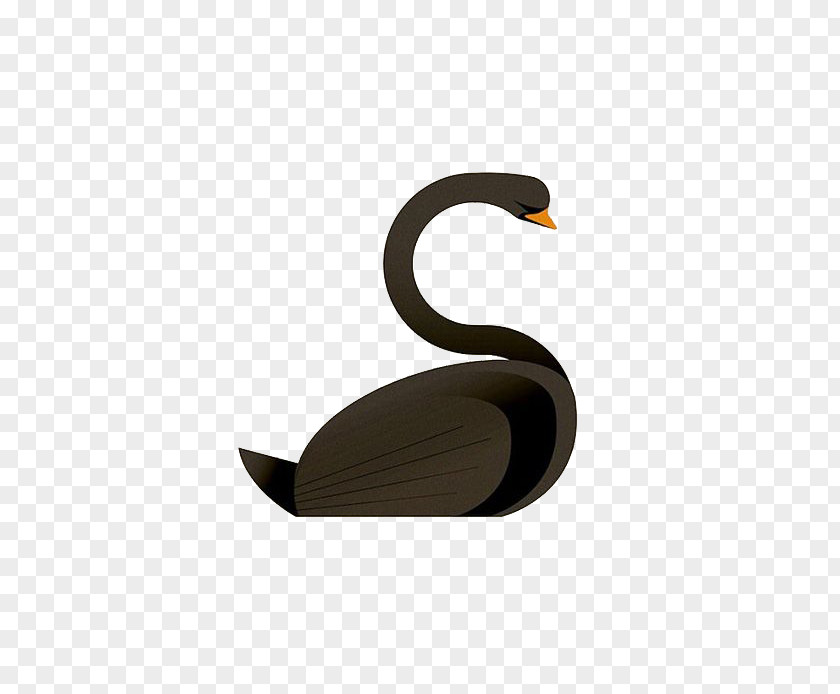 Black Swan Animal Alphabet Letter Cygnini Illustration PNG