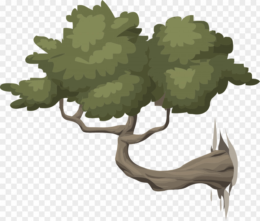 Bonsai Clip Art PNG