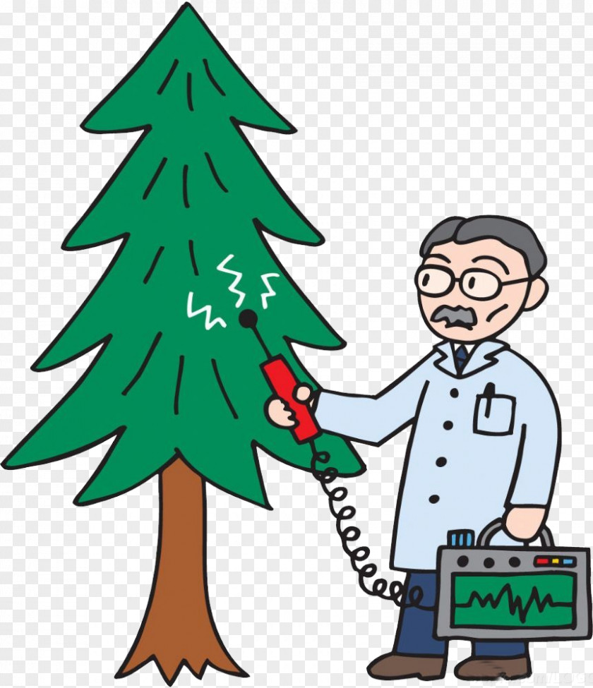 Christmas Tree Pick Up Cartoon Illustration PNG