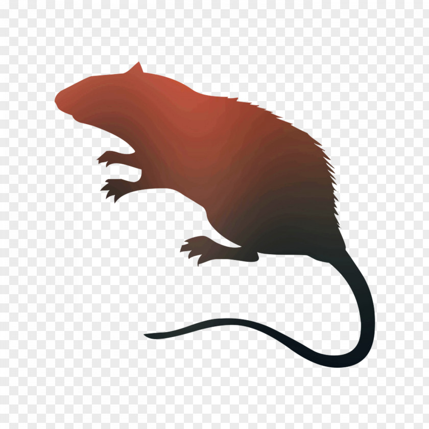 Rat Vector Graphics Royalty-free Silhouette Stock Photography PNG
