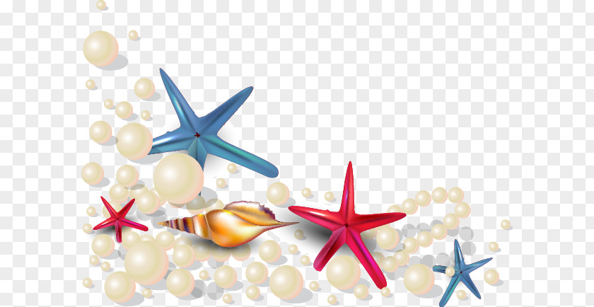 Summer Beach Starfish Pearl Shell Oyster Seashell Euclidean Vector PNG